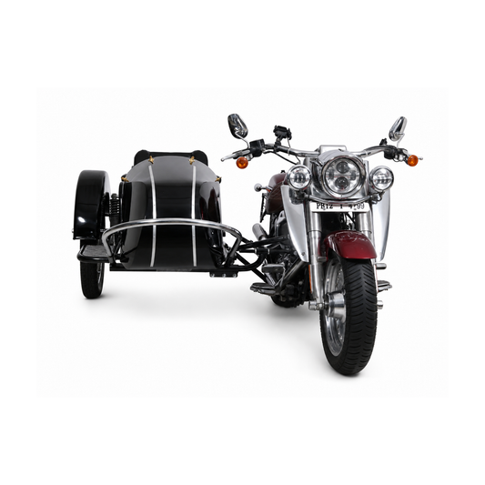 Front view of a black Euro passenger sidecar attached to a Royal Enfield motorcycle on a white background.